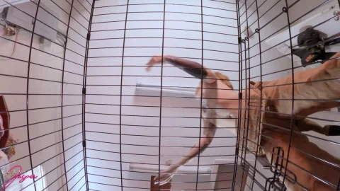 CravingJasper – Caged And Emasculated Pov Humiliating FemDom Masturbat