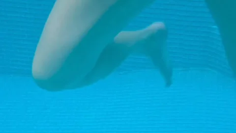 your submissive doll – Underwater Fuck in Pool